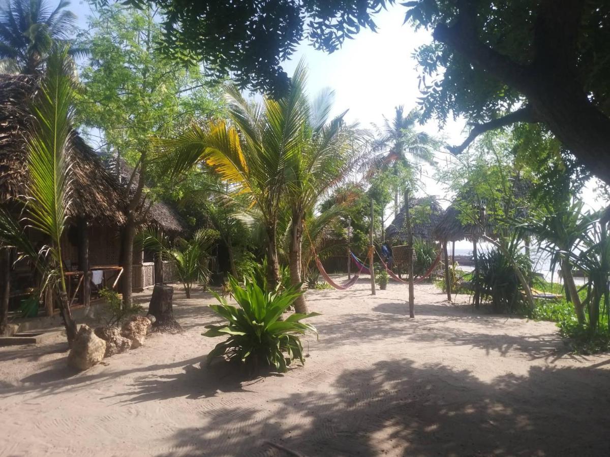 Ushongo Beach Bandas Pangani ภายนอก รูปภาพ